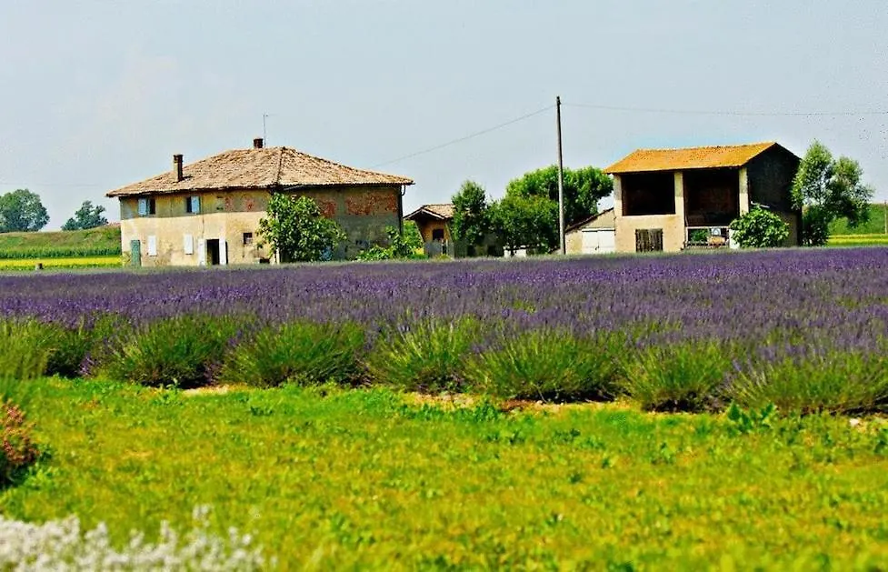 Il Murello Fiorentina Alloggio per agriturismo
